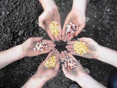hands-with-seeds